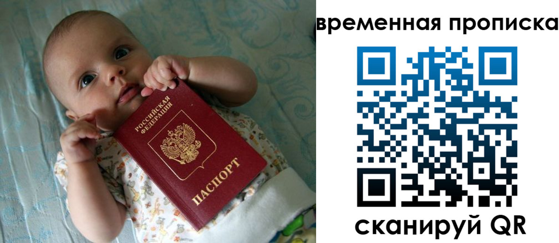 найти адрес прописки в Волхове